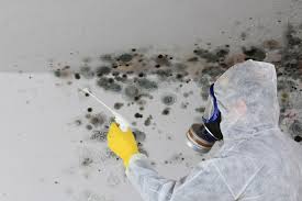 Best Residential Mold Inspection & Testing  in Belvidere, IL